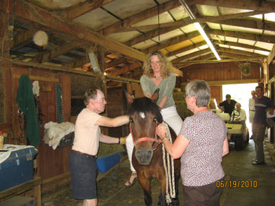 In the Barn Getting Ready for a Lesson